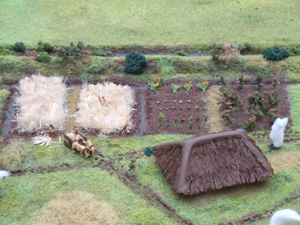 Champs de céréales, potager et char à bœufs